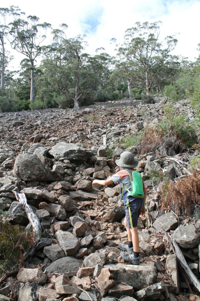 Scree slope on way up Bishop and Clerk