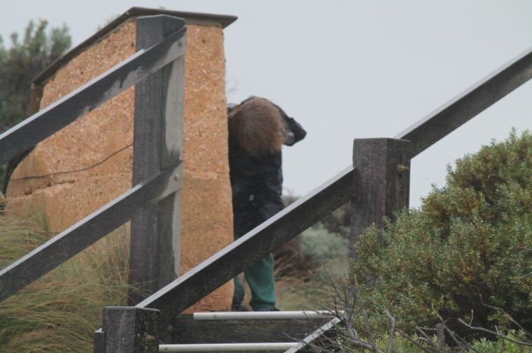 "I don't wanna go to the lookout!"