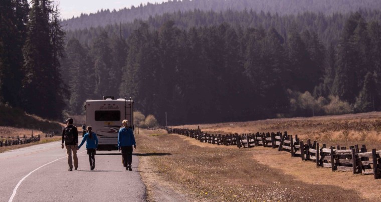 elk-prarie-in-redwood-state-forest